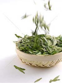 白茶的茶艺创意画图片