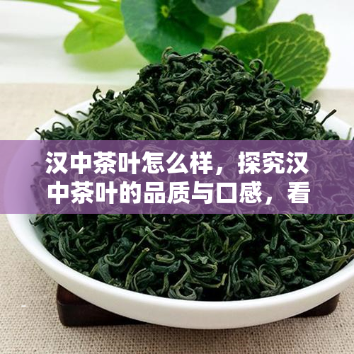 汉中茶叶怎么样，探究汉中茶叶的品质与口感，看看它究竟如何？