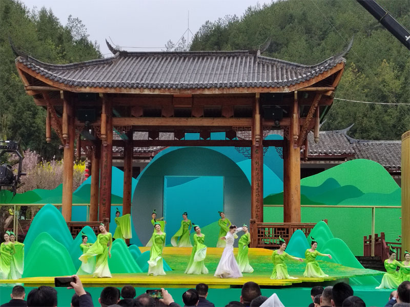 富硒茶基地产量