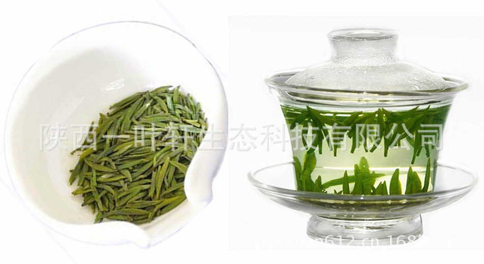 银针茶汤色
