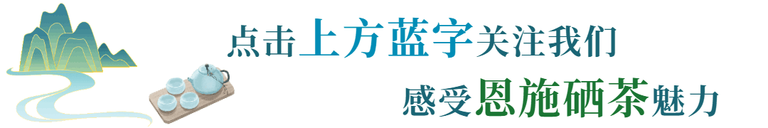 富硒茶专题报告