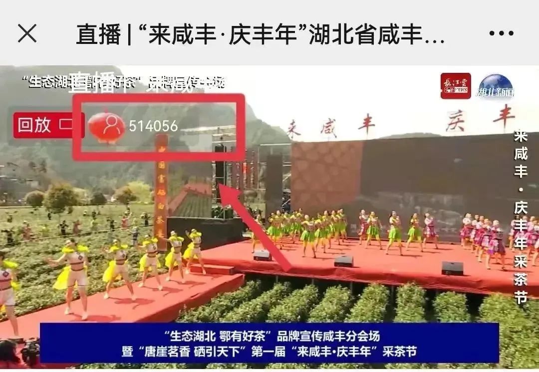 富硒茶专题报告