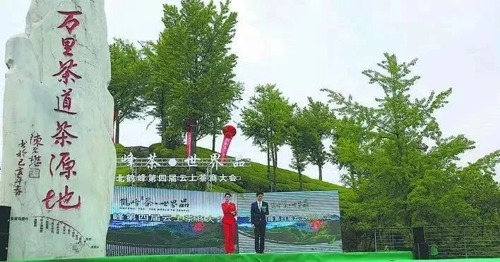 富硒茶专题报告