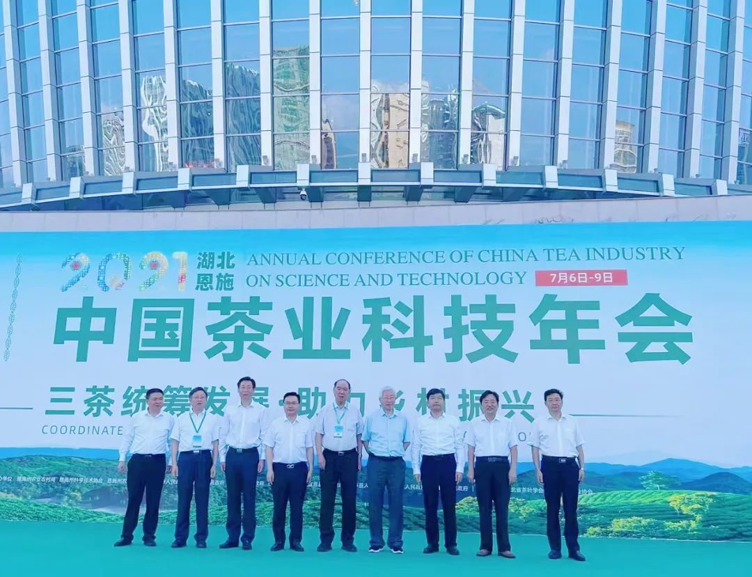 富硒茶专题报告