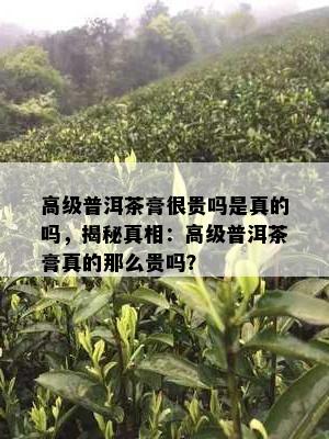 高级普洱茶膏很贵吗是真的吗，揭秘真相：高级普洱茶膏真的那么贵吗？