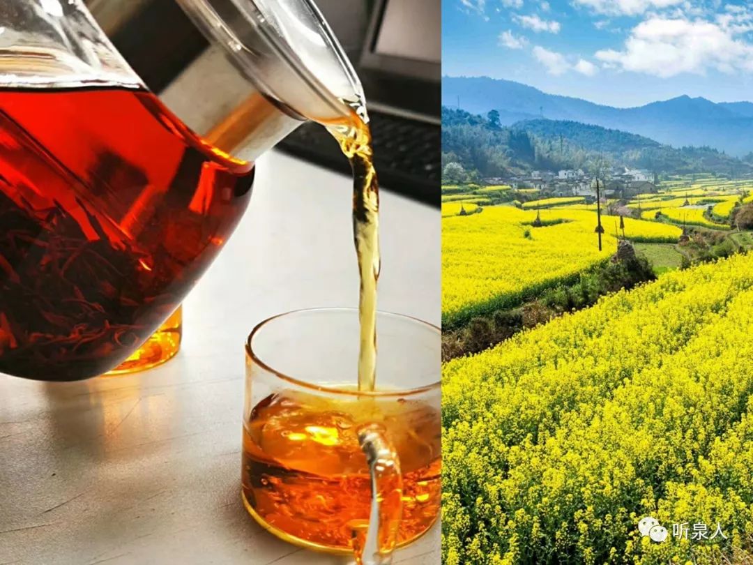 初见天然富硒茶(初见茶叶多少钱一盒)-硒宝网