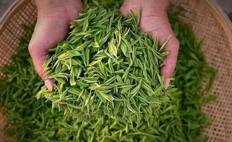 恩施富硒茶发甜(恩施富硒茶价格表一斤多少钱)-硒宝网