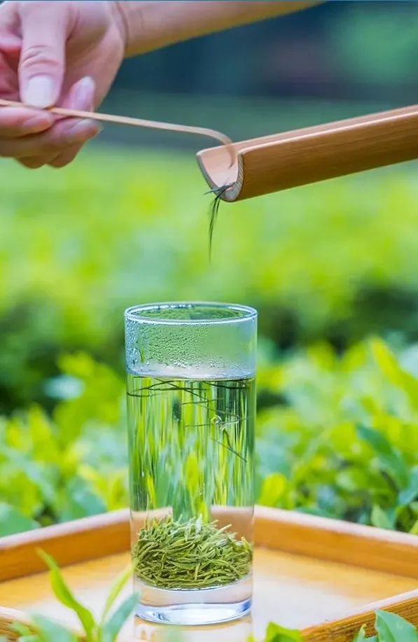 恩施富硒茶发甜(恩施富硒茶价格表一斤多少钱)-硒宝网