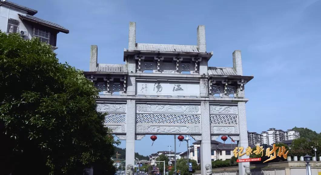 宜春富硒金片茶