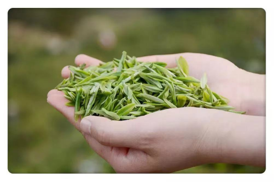 月港富硒有机茶