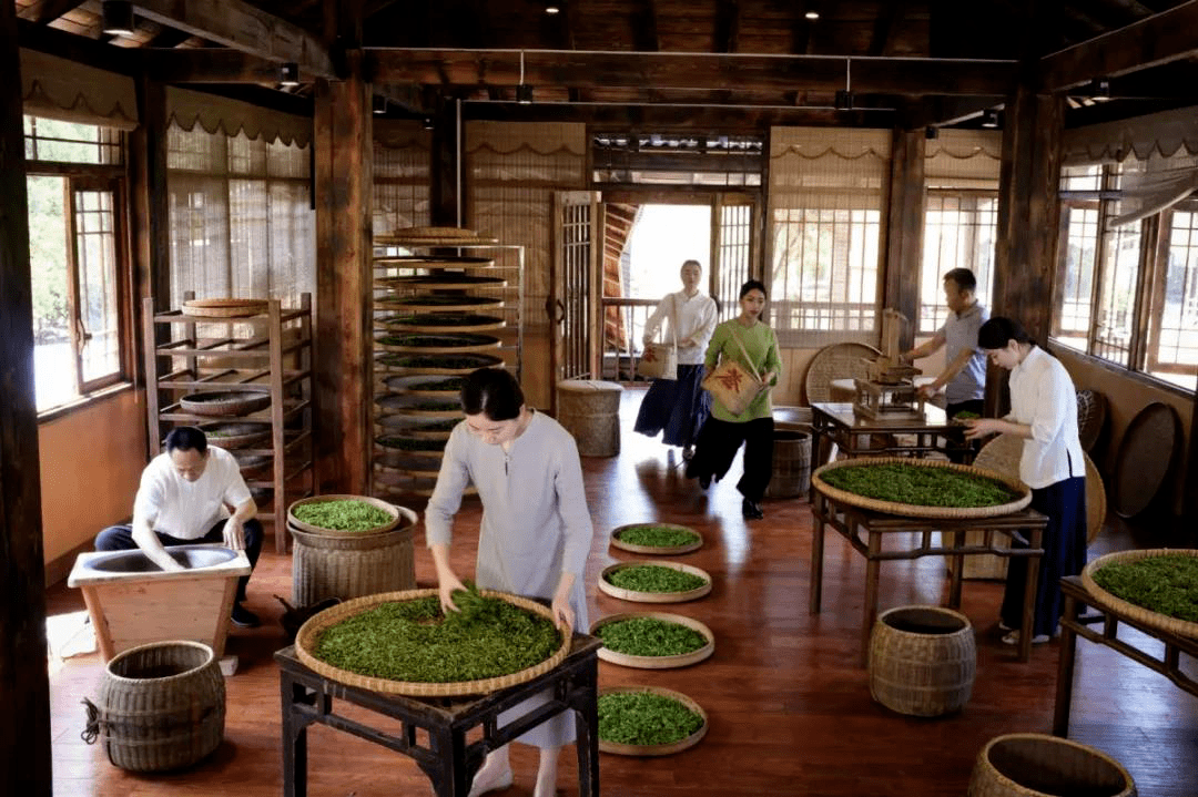 宜春富硒金片茶