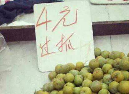 澳门富硒生茶饼