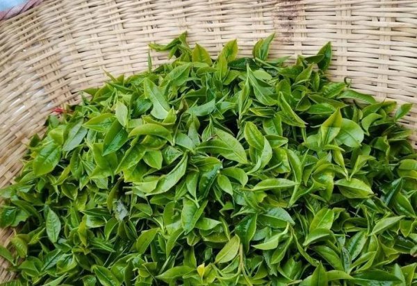 富硒紫米石斛茶