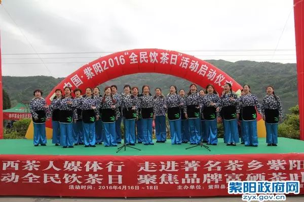 紫阳富硒茶大v