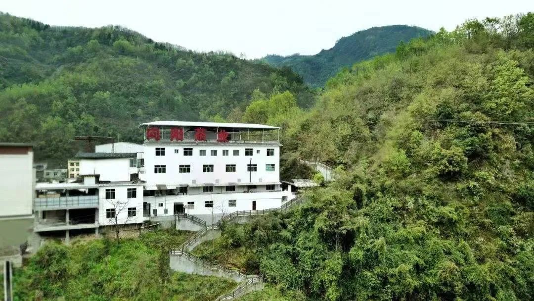 陈记向阳富硒茶