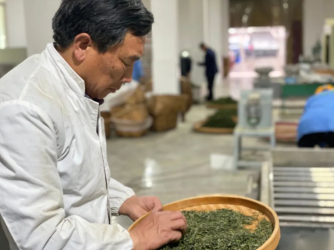 紫阳富硒茶中的