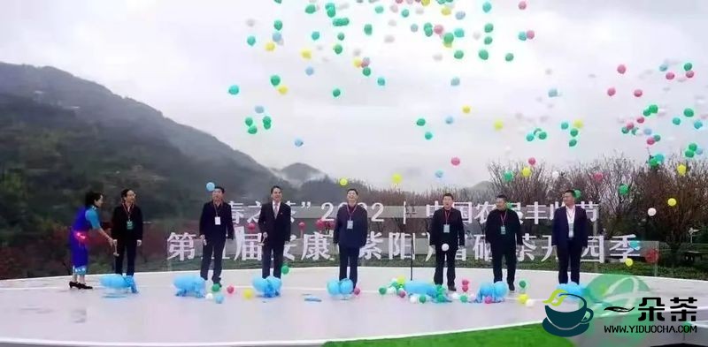 25万亩紫阳富硒茶全面开采，最美紫阳等你来！