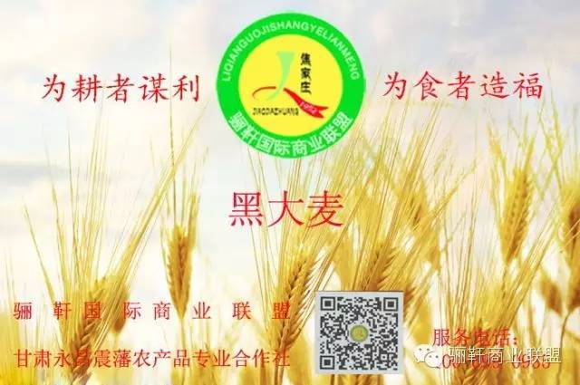 思域富硒大麦茶