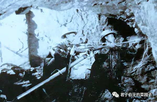 富硒茶能不能吃