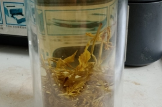 张家界藤茶与恩施藤茶的区别，藤茶是恩施的好还是张家界的好？