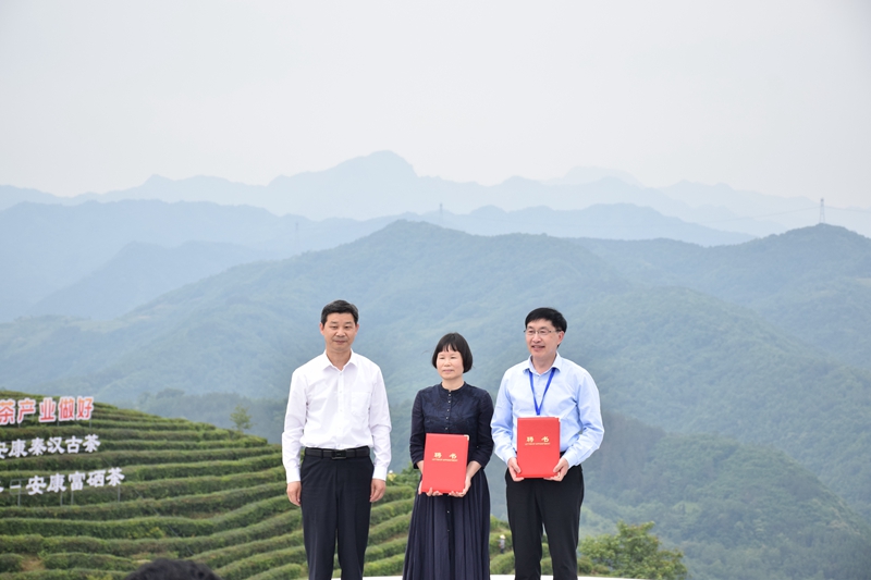 十大富硒茶品牌