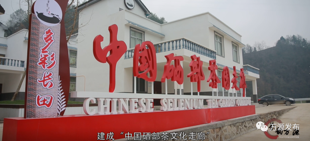 达州万源富硒茶