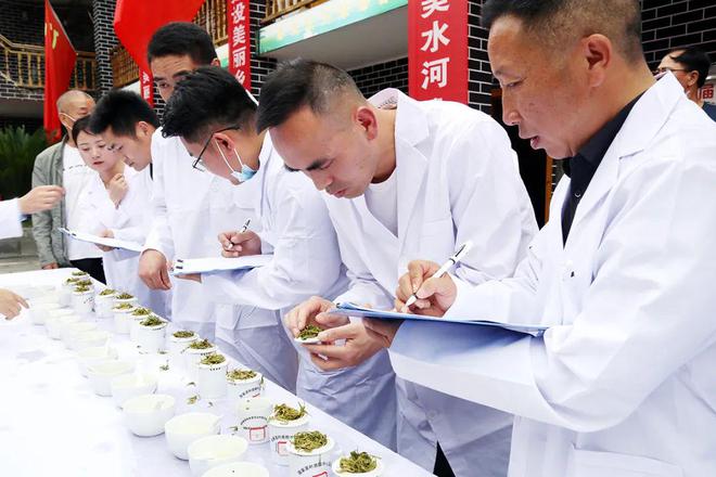 金荣牌富硒贡茶