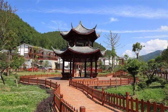 达州万源富硒茶