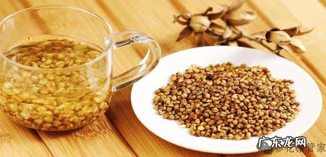 “三降”养生苦荞麦茶，吃法知多少？