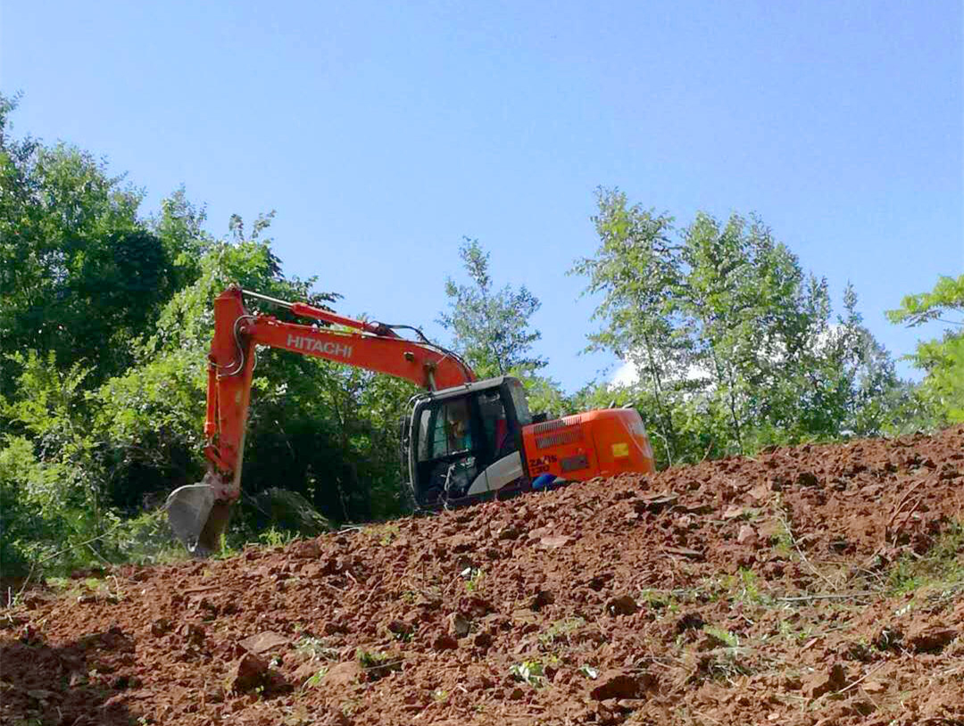 万源草坝富硒茶