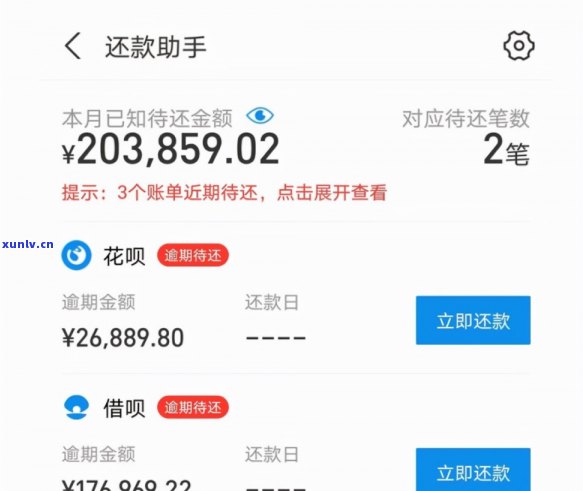 普洱茶叶多少钱，普洱茶叶价格大揭秘，你想知道的都在这里！