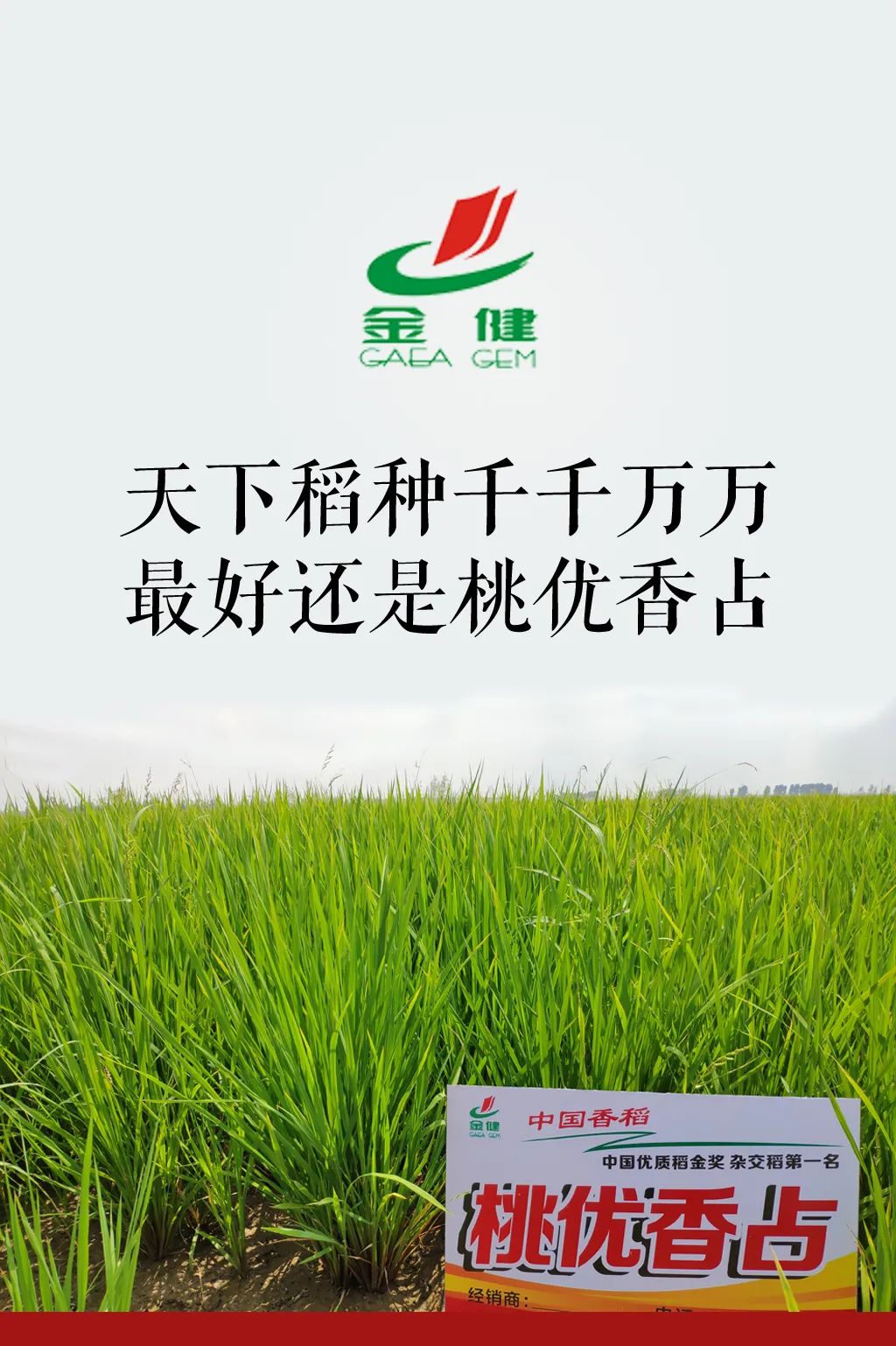 五常大米富硒型