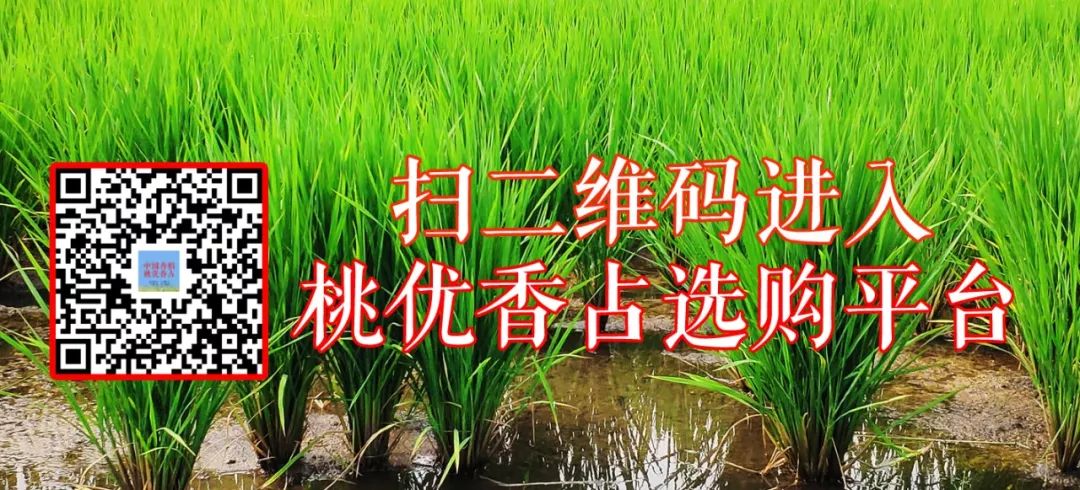 五常大米富硒型