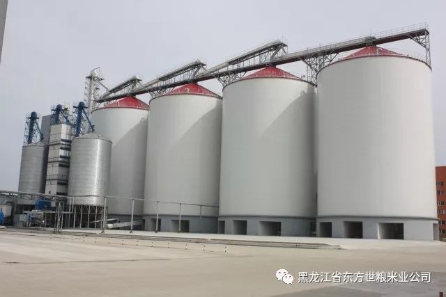 五常大米富硒型(大米五常型富硒品种)-硒宝网