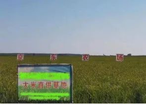 巴马的富硒大米
