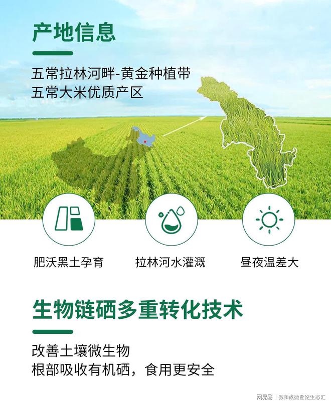 富硒大米的热量