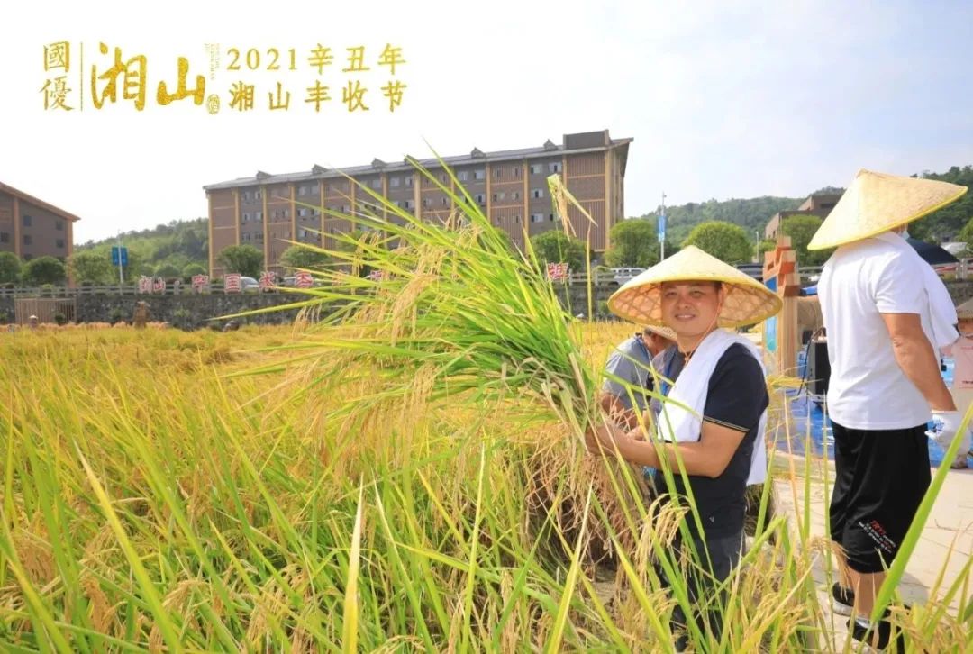 富硒大米的意思