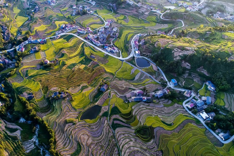 漩涡镇富硒大米