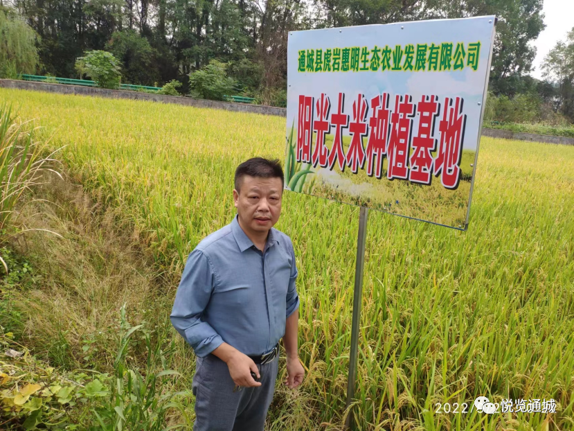 富硒大米可靠吗