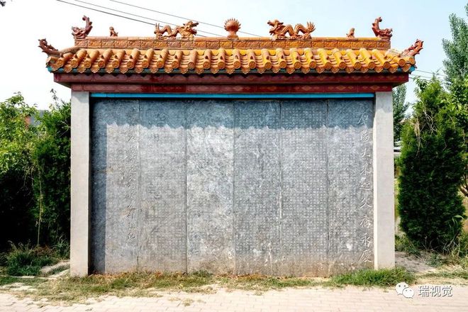 原阳富硒芽大米
