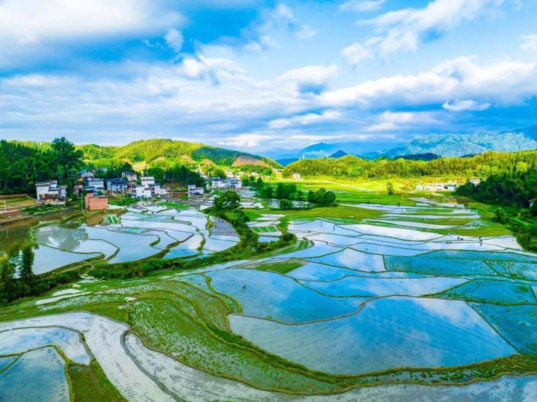 黑芝麻富硒大米