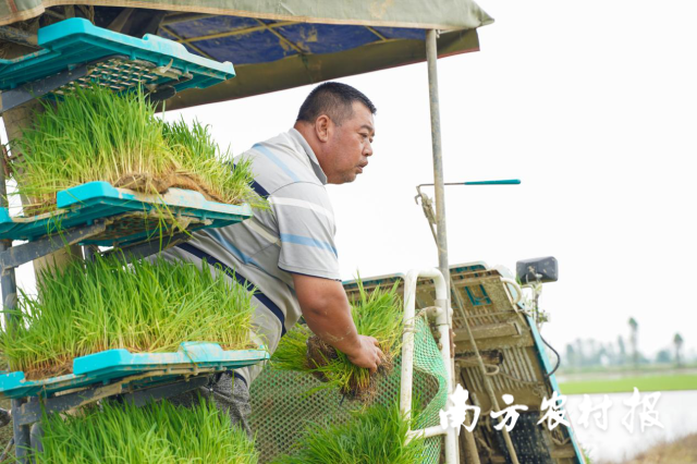 懂粮人富硒大米(富硒的大米)-硒宝网