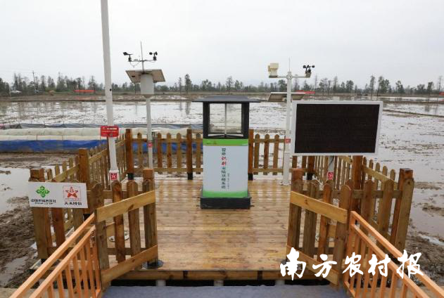 懂粮人富硒大米(富硒的大米)-硒宝网