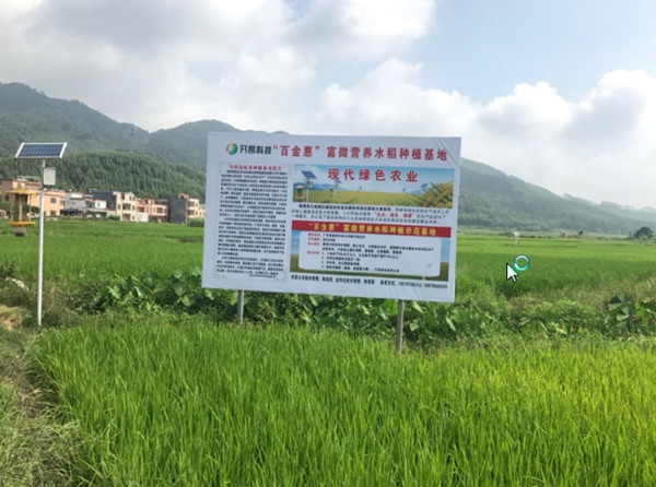 湖北富硒大米价