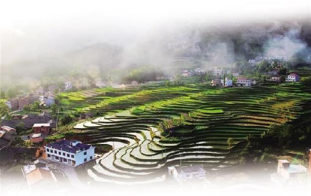 l龙潭富硒大米