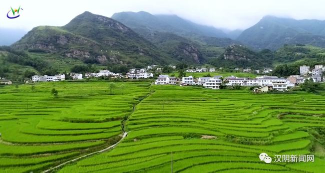 l龙潭富硒大米