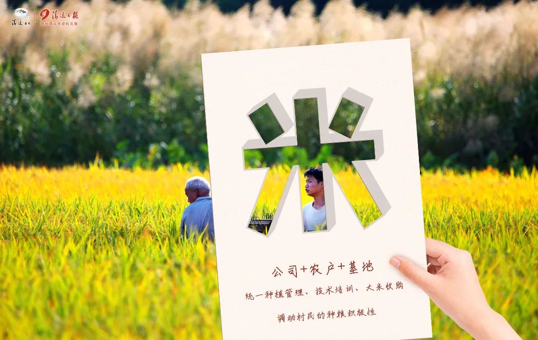 瓦里乡富硒大米