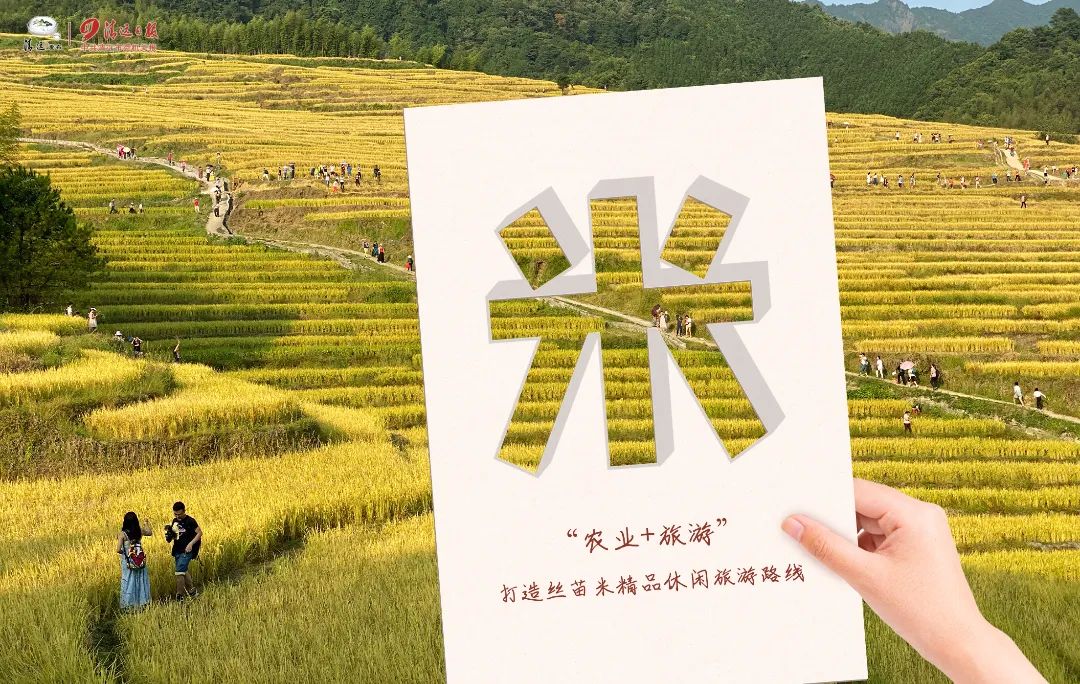 瓦里乡富硒大米