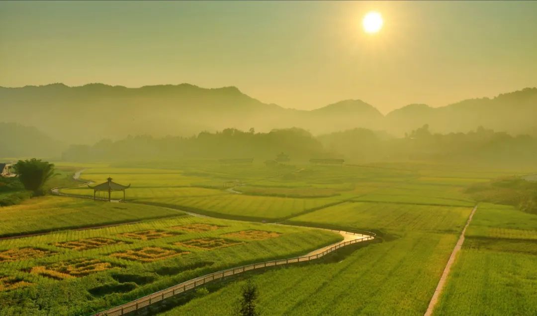 水泸坝富硒大米