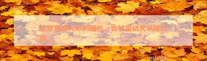 松原富硒大米的图片，吉林富硒大米排行榜